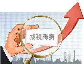 從減稅降費(fèi)政策看金融服務(wù)費(fèi) 金融中介服務(wù)該不該退？